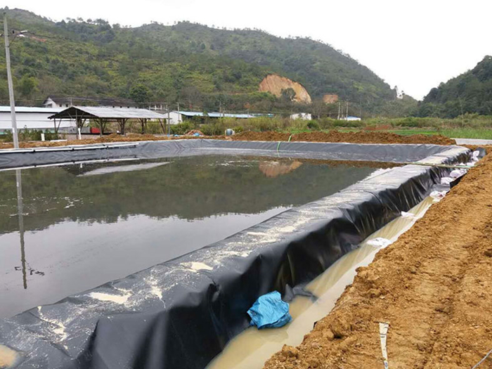 魚(yú)塘里用土工膜做防滲層需不需要回填土壤？